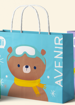 DP227467 Carry bag - Snowboarding Bear